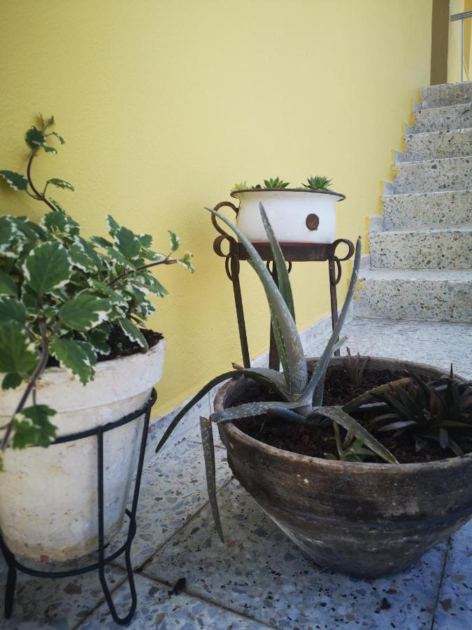 A Maquia Do Pousavedra Sober Esterno foto